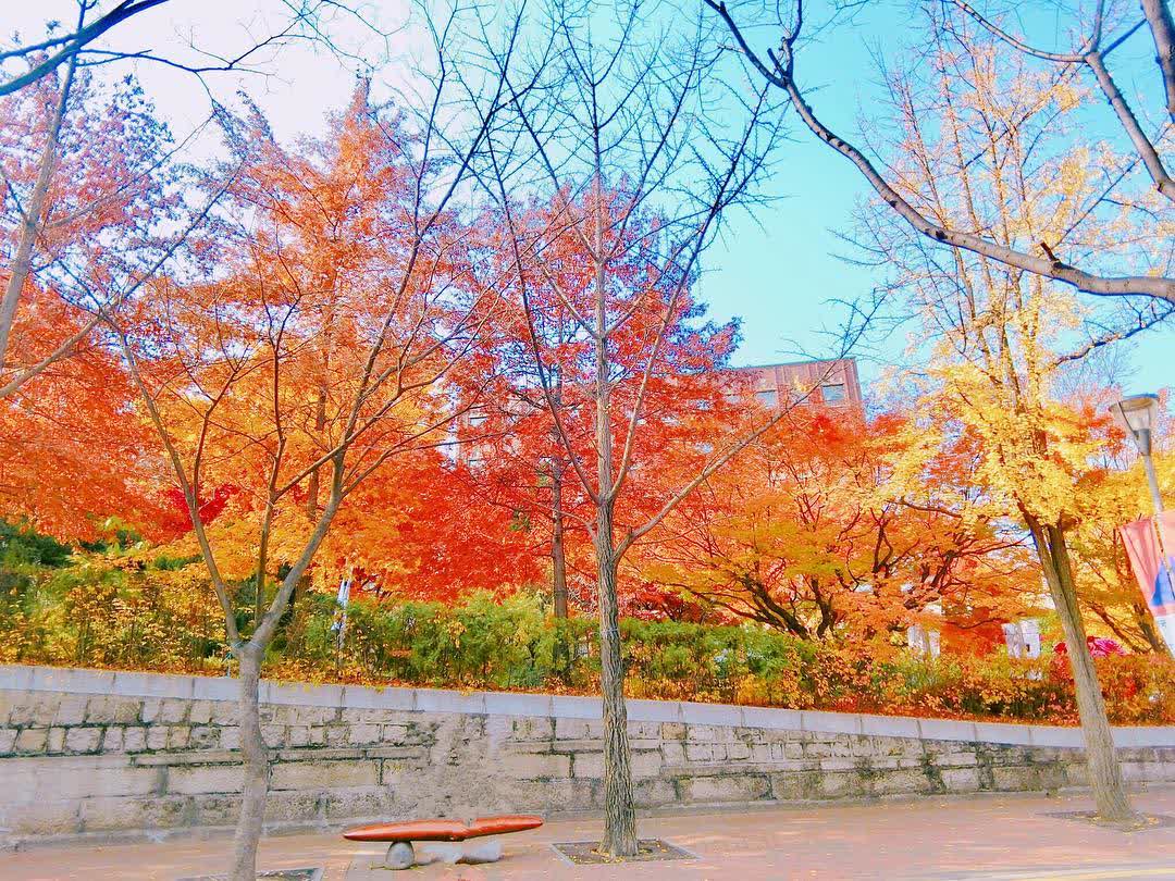 貞洞路(德壽宮石牆路) | 去趣 chicTrip