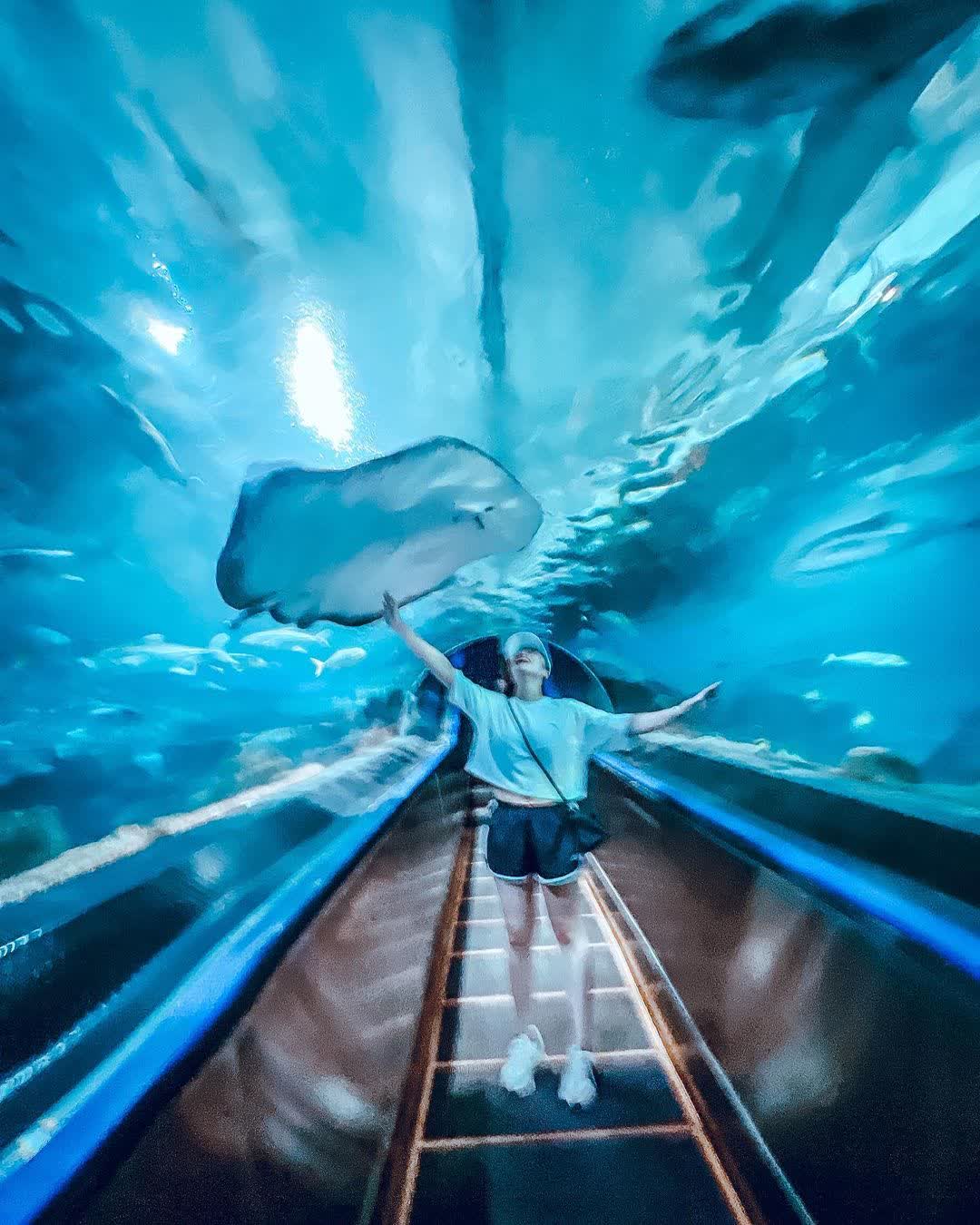 遠雄海洋公園 | 去趣 chicTrip