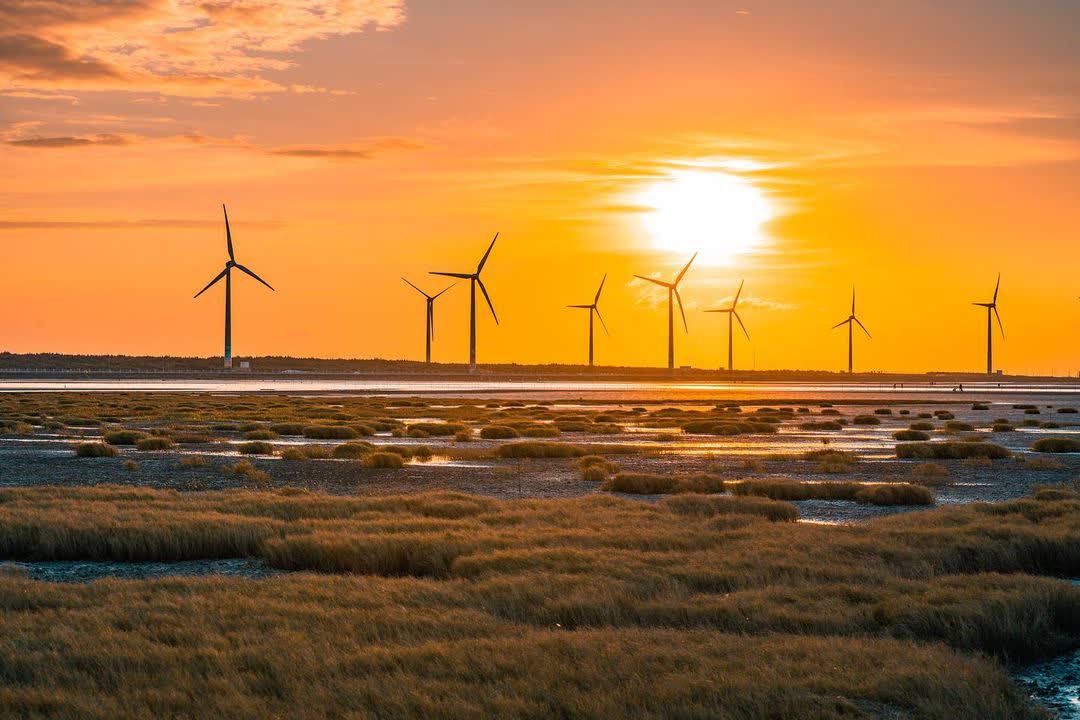 高美野生動物保護區 | 去趣 chicTrip