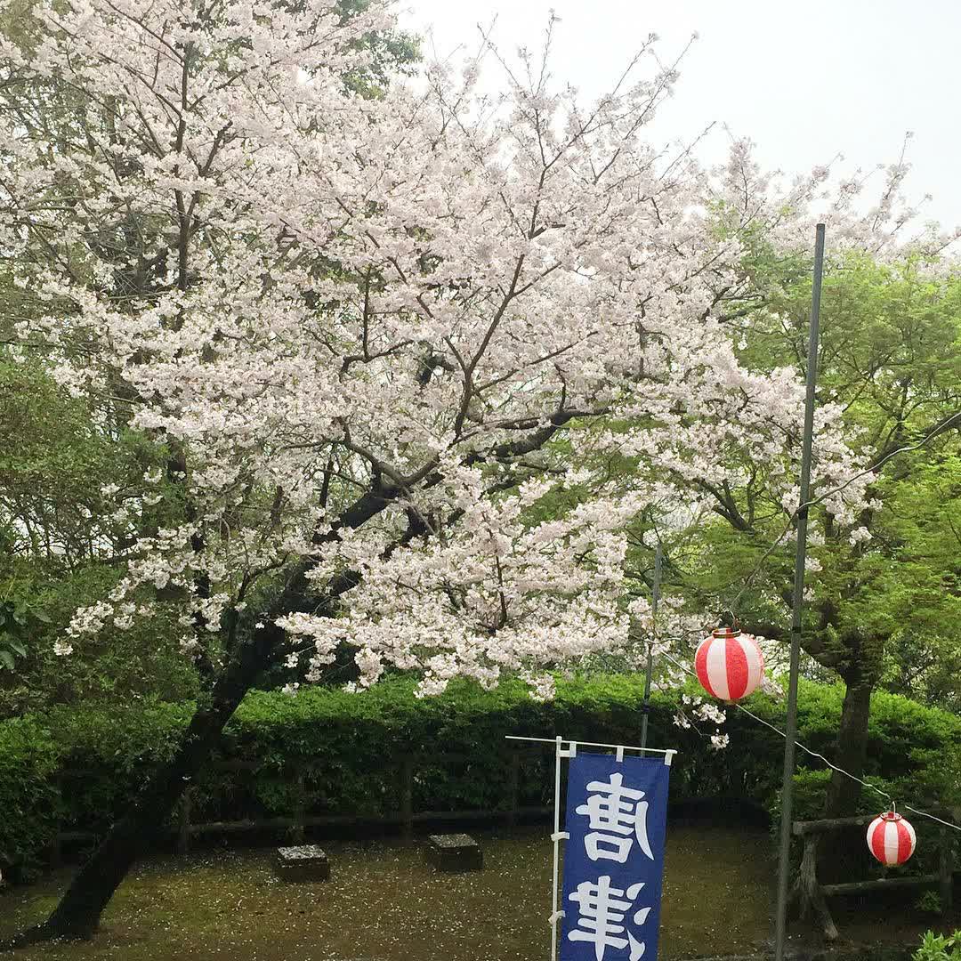 唐津城 | 去趣 chicTrip