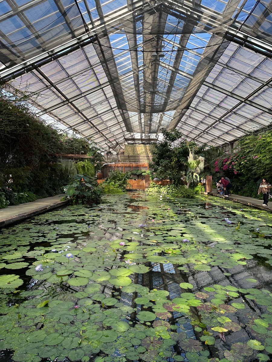 神戶動物王國 | 去趣 chicTrip