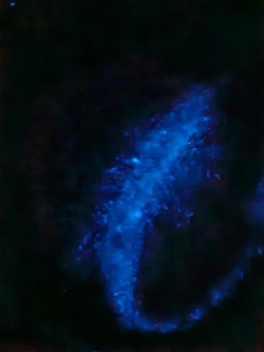 藍眼淚生態館 | 去趣 chicTrip