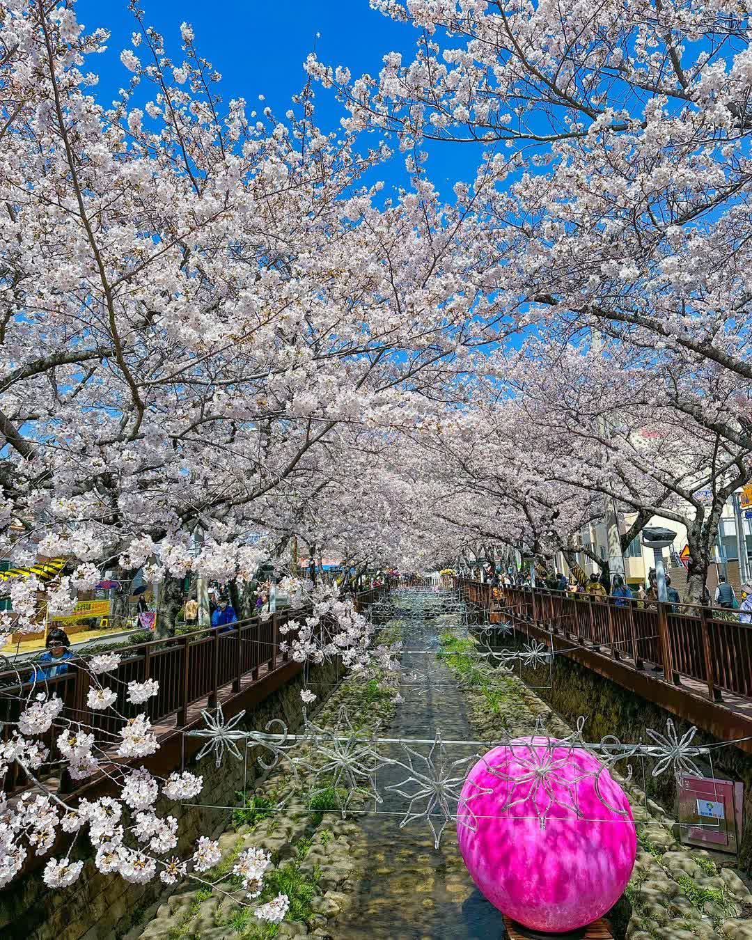 余佐川羅曼史橋 | 去趣 chicTrip