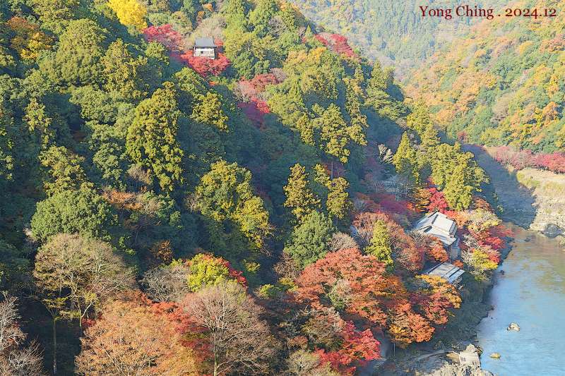 嵐山公園龜山地區 山頂展望台 | 去趣 chicTrip