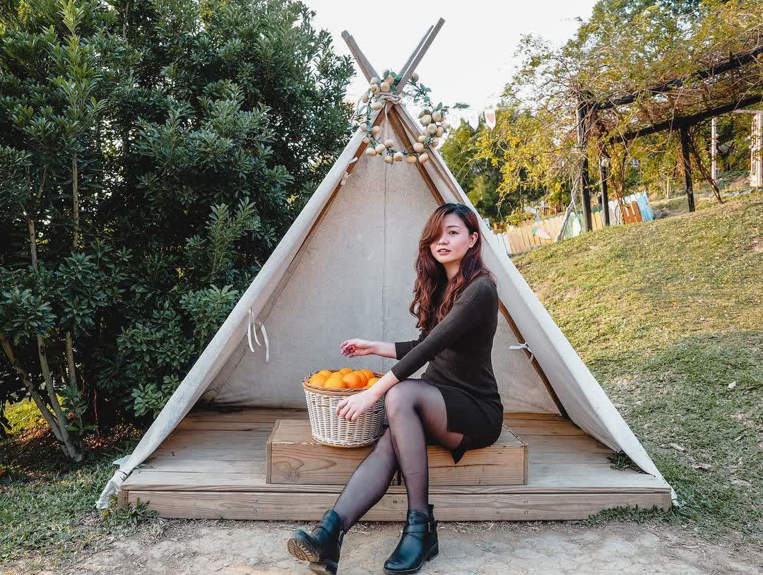 橙香森林 | 去趣 chicTrip