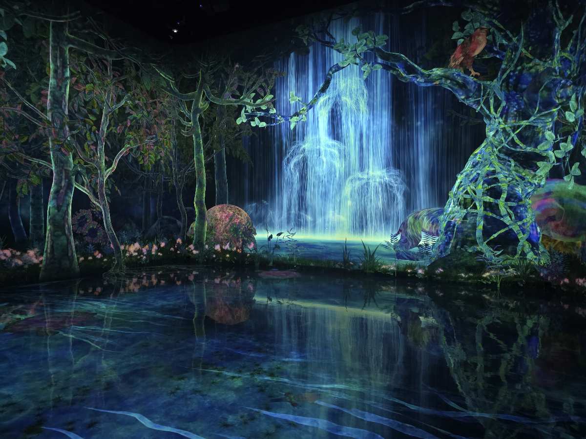 teamLab Planets TOKYO DMM | 去趣 chicTrip