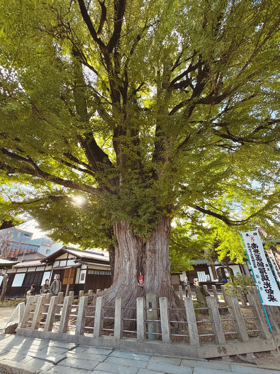 飛驒國分寺 | 去趣 chicTrip