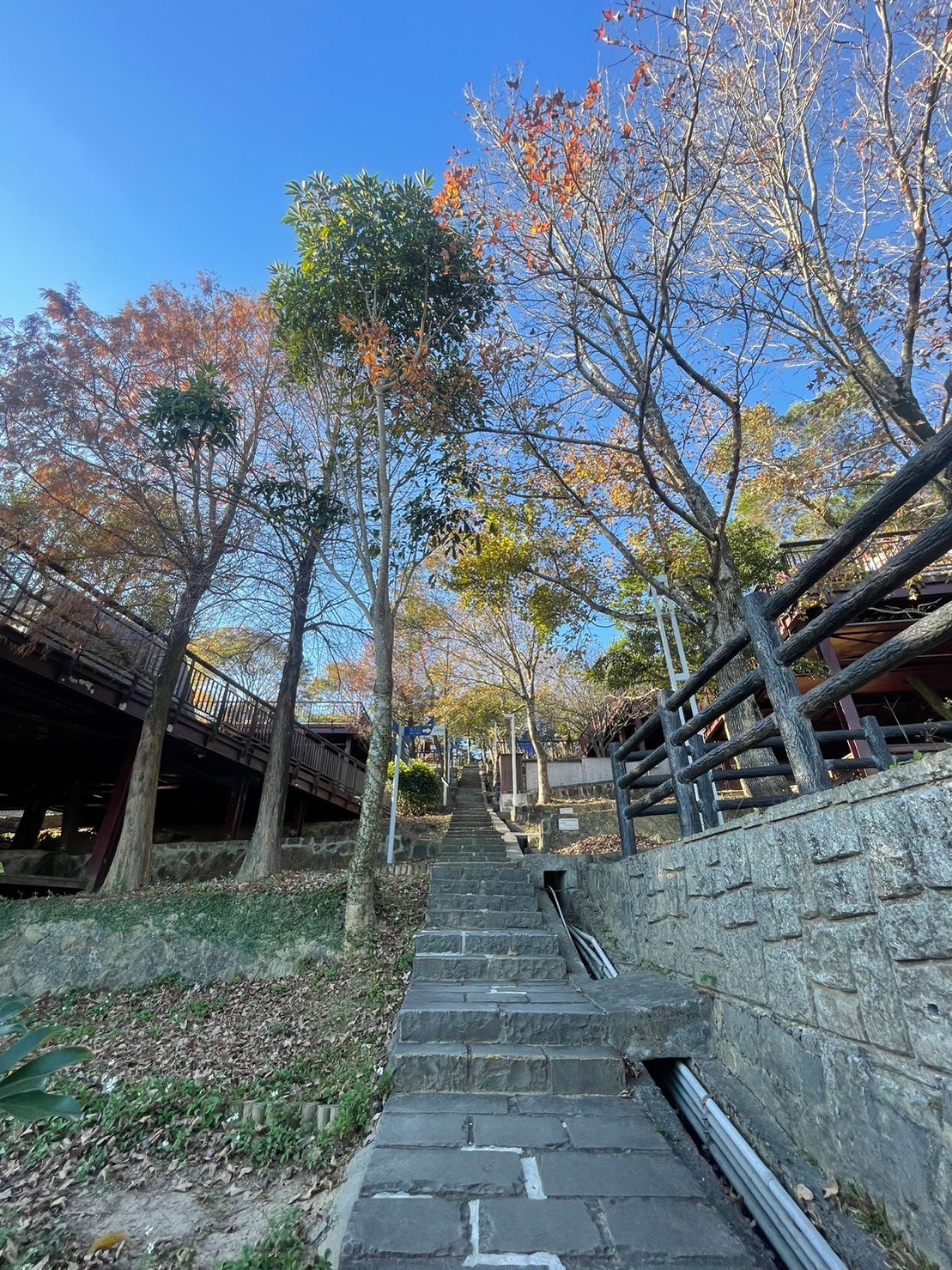 碧山露營場 | 去趣 chicTrip