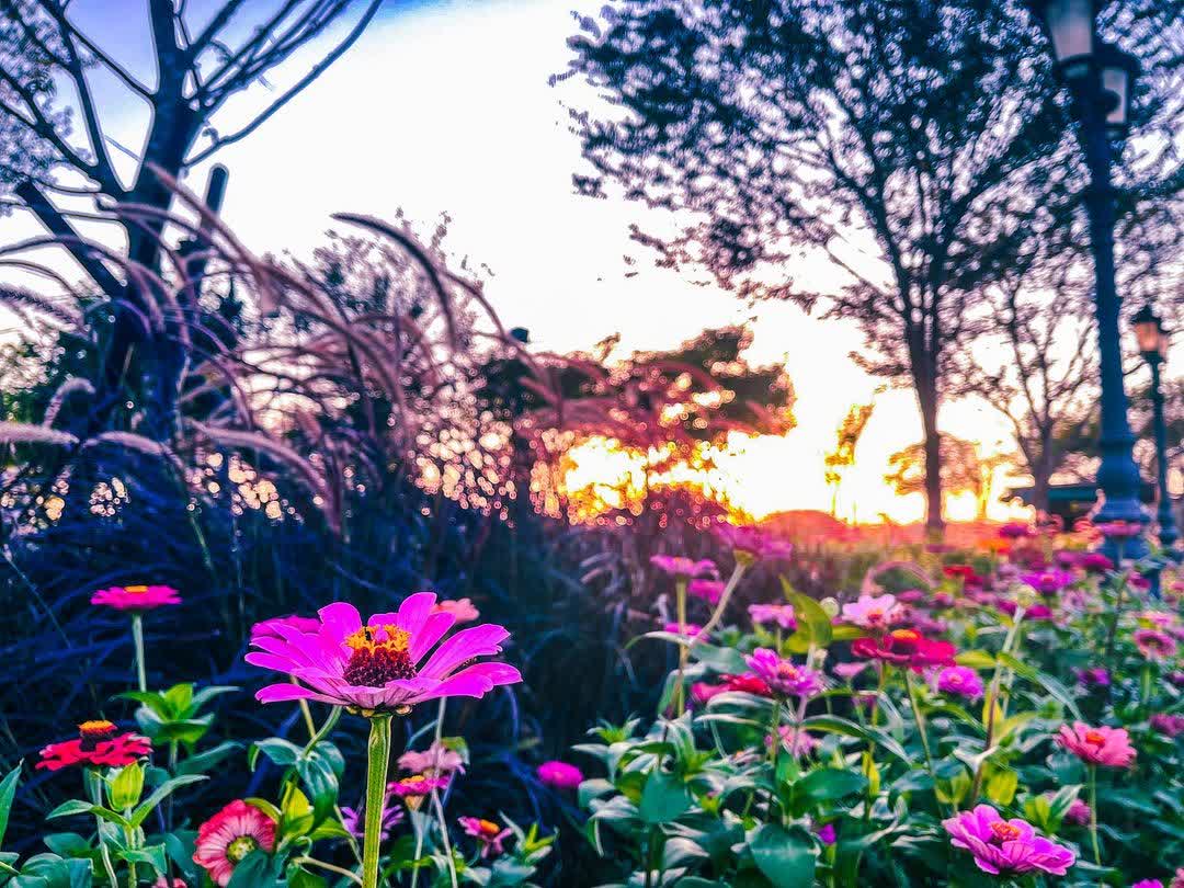 奇美博物館 | 去趣 chicTrip