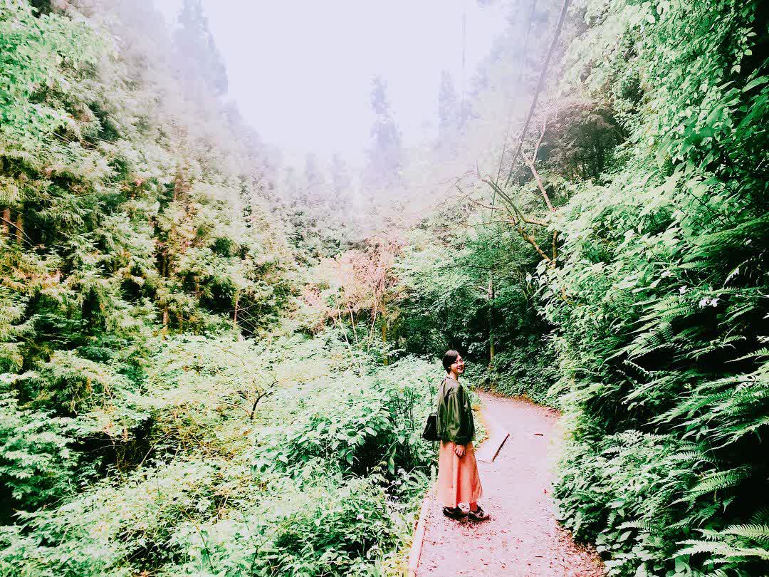 高尾山 | 去趣 chicTrip