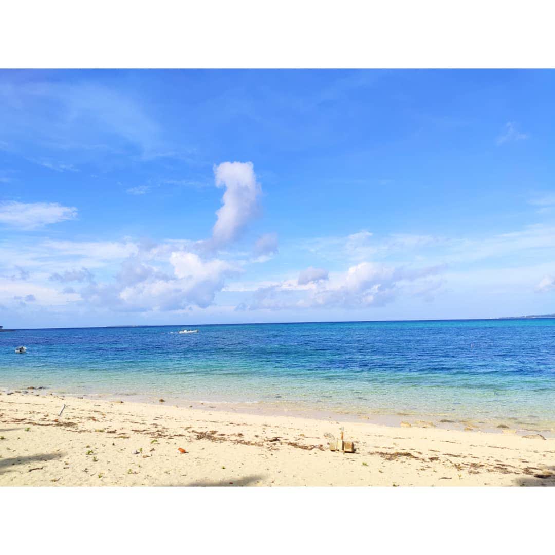 Bise-Fukugi Tree Road | 去趣 chicTrip