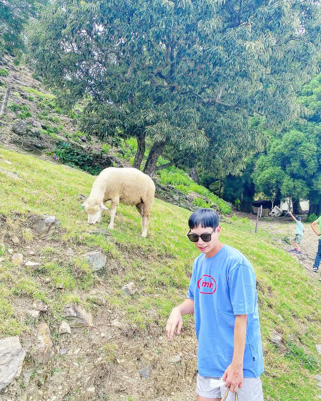 清境農場青青草原 | 去趣 chicTrip