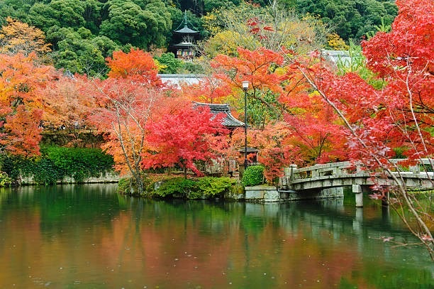 圓山公園 | 去趣 chicTrip