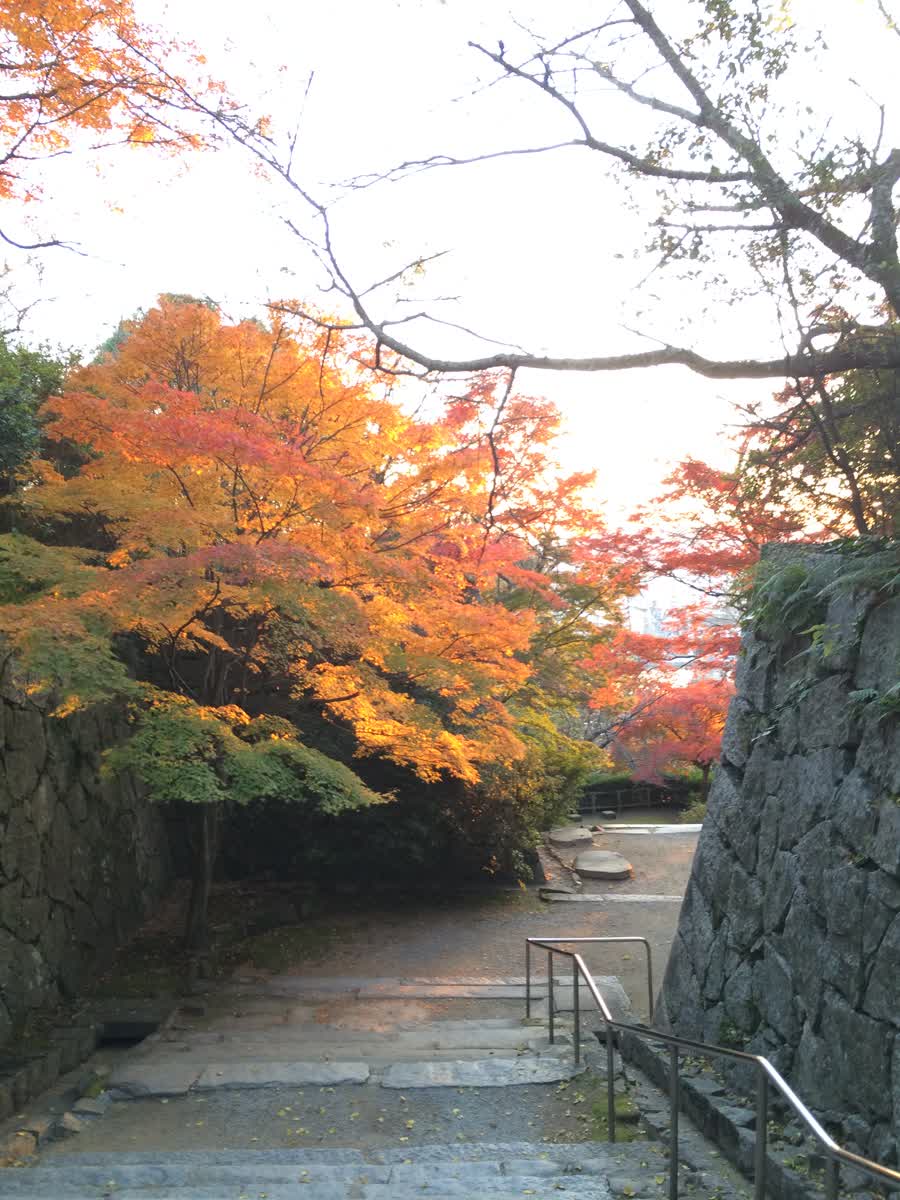 唐津城 | 去趣 chicTrip