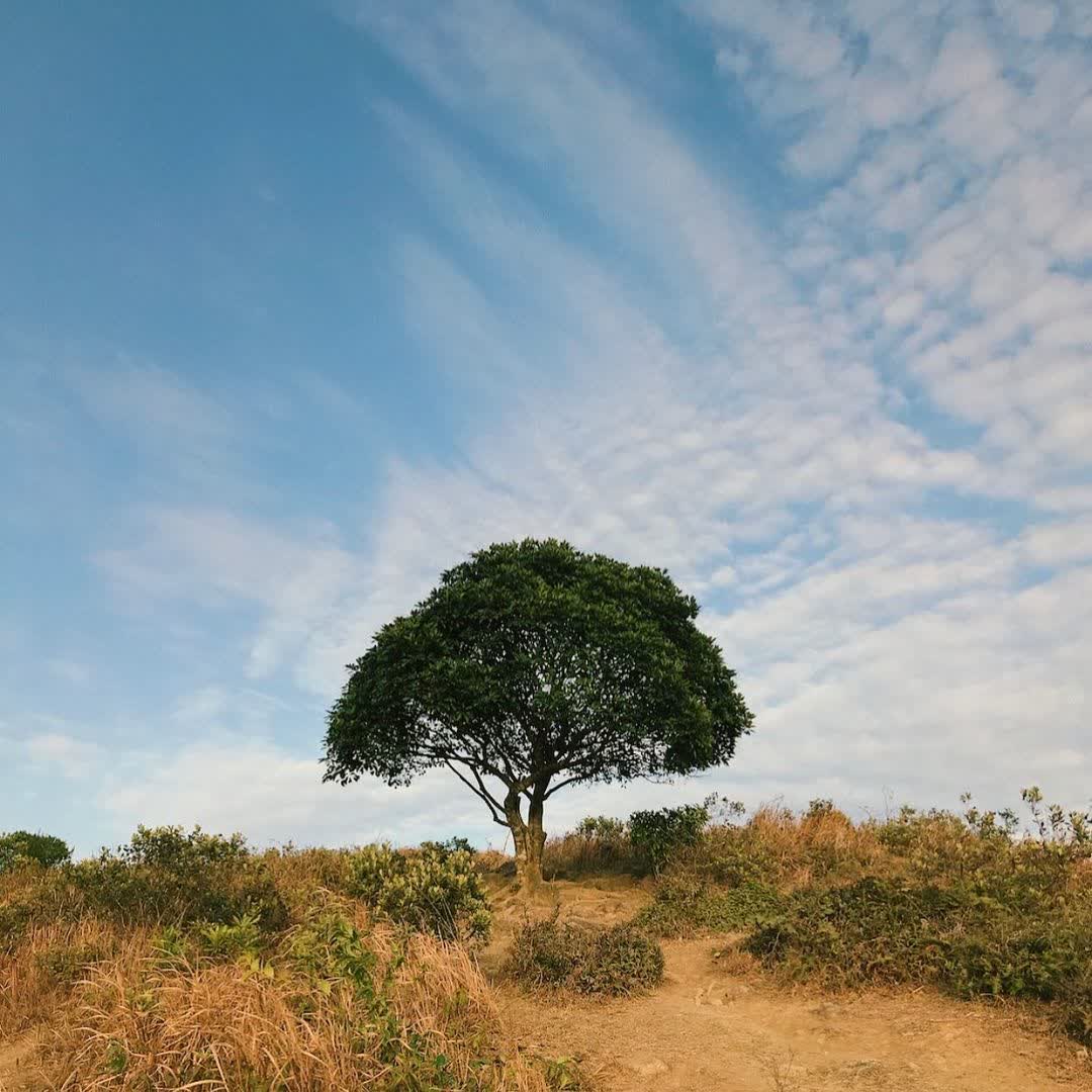 昂平營地 (馬鞍山) | 去趣 chicTrip