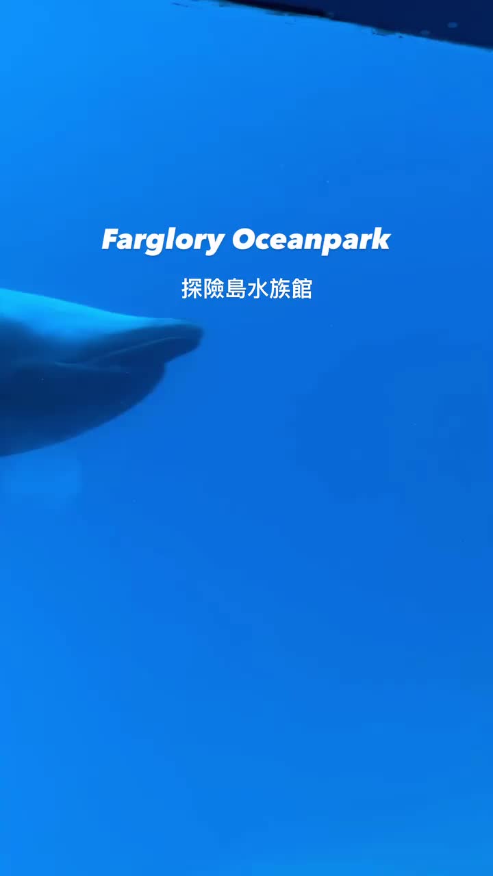 遠雄海洋公園