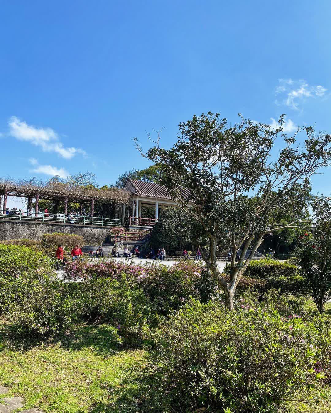 陽明山國家公園 | 去趣 chicTrip