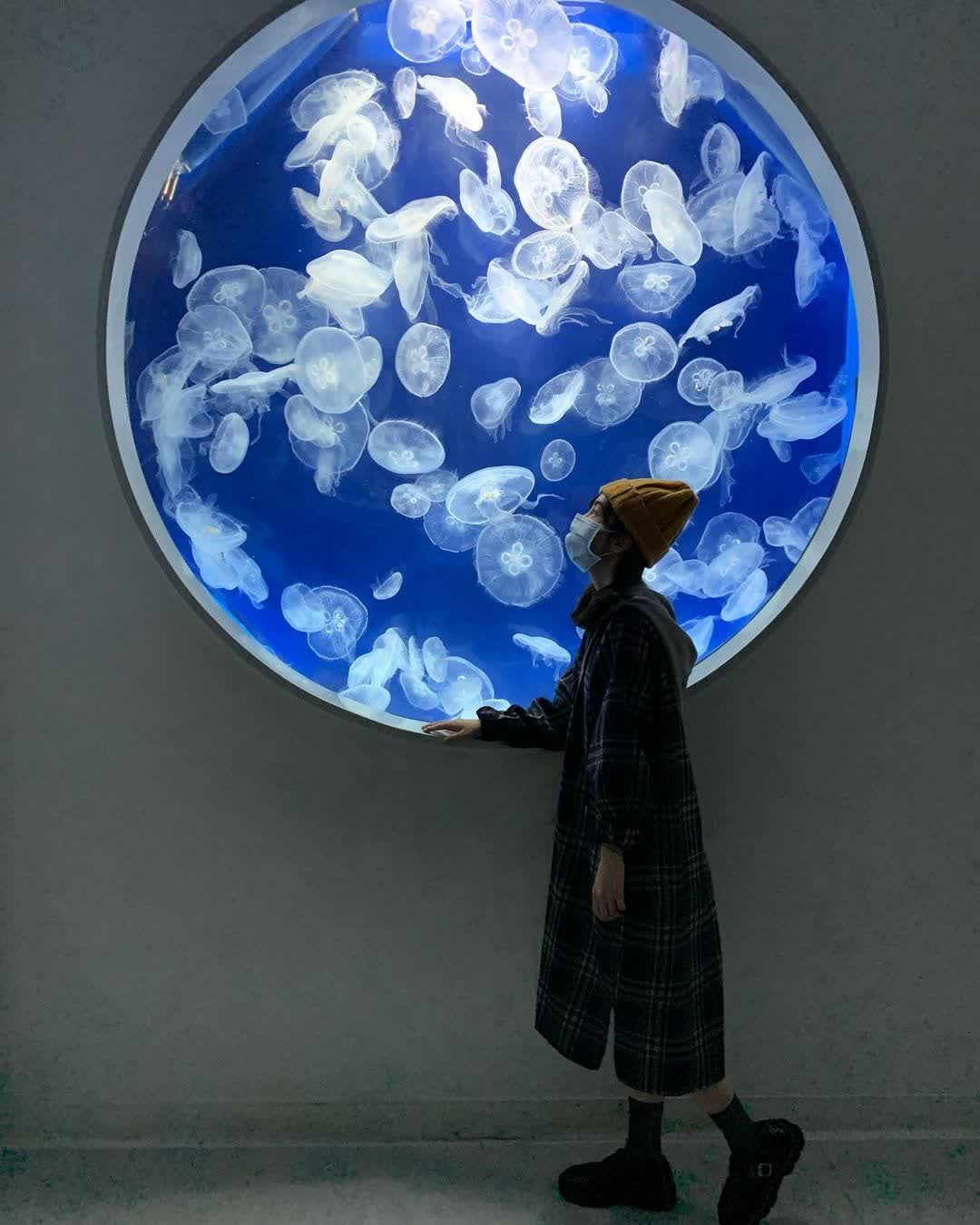 Xpark 水族館 | 去趣 chicTrip