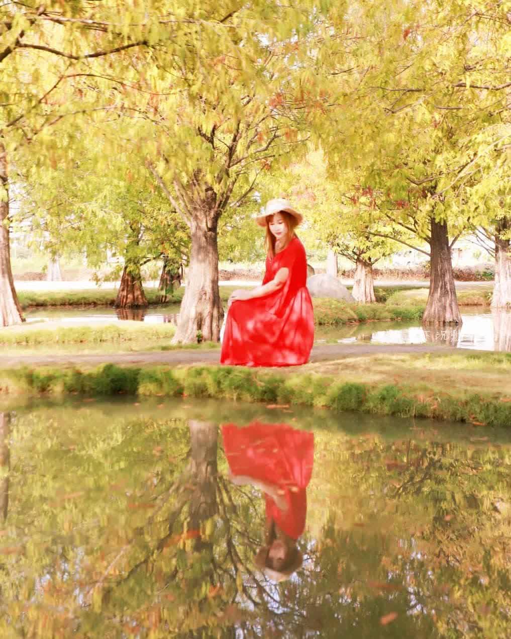 青埔落羽松秘境 | 去趣 chicTrip