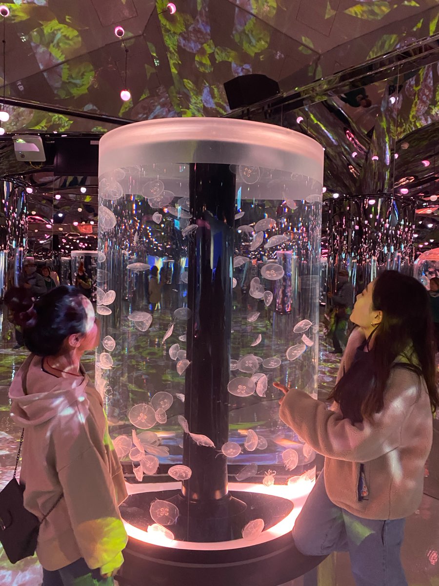 Xpark 水族館 | 去趣 chicTrip