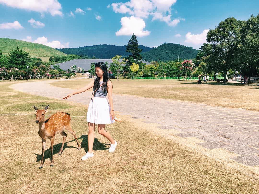 奈良公園 | 去趣 chicTrip
