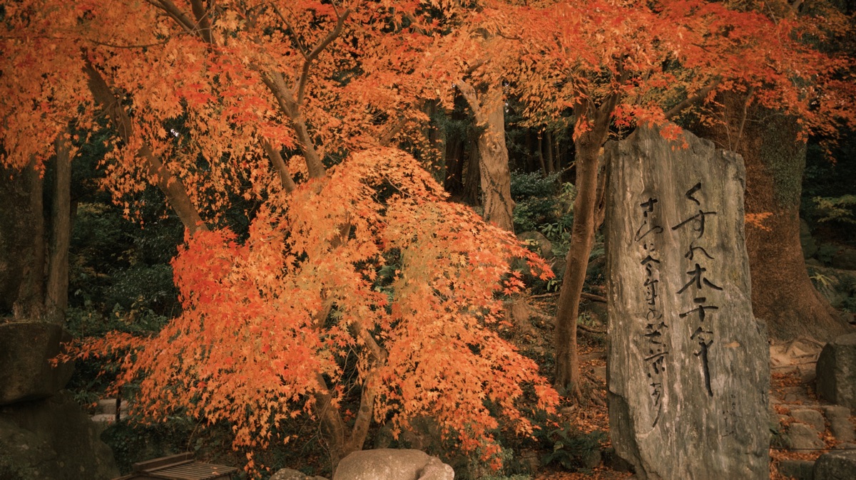 太宰府天滿宮 | 去趣 chicTrip