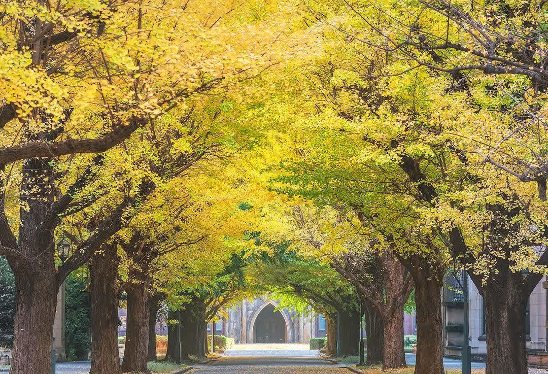 東京大學 | 去趣 chicTrip