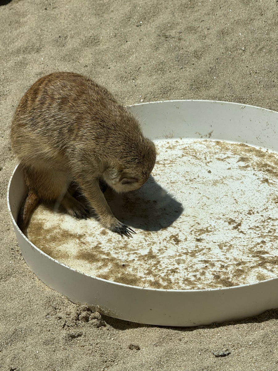 愛寶樂園 | 去趣 chicTrip