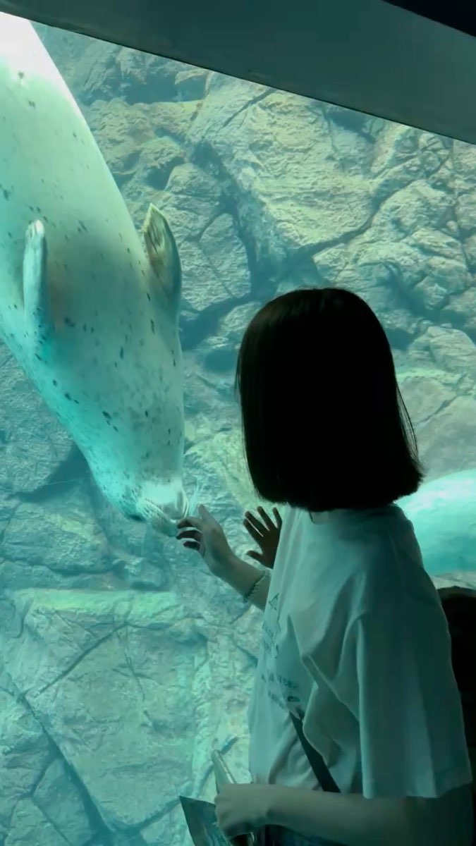 海遊館 | 去趣 chicTrip