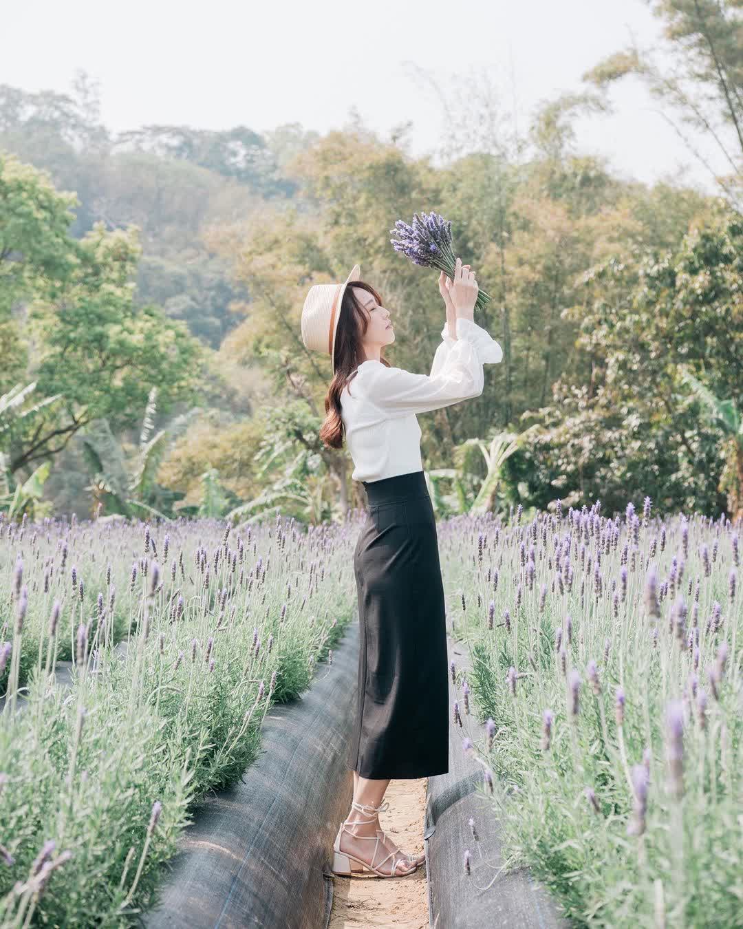 葛瑞絲香草田 | 去趣 chicTrip