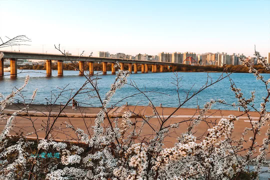 汝矣島漢江公園 | 去趣 chicTrip