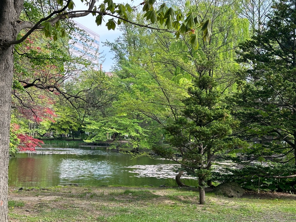 北海道廳本廳舍 | 去趣 chicTrip