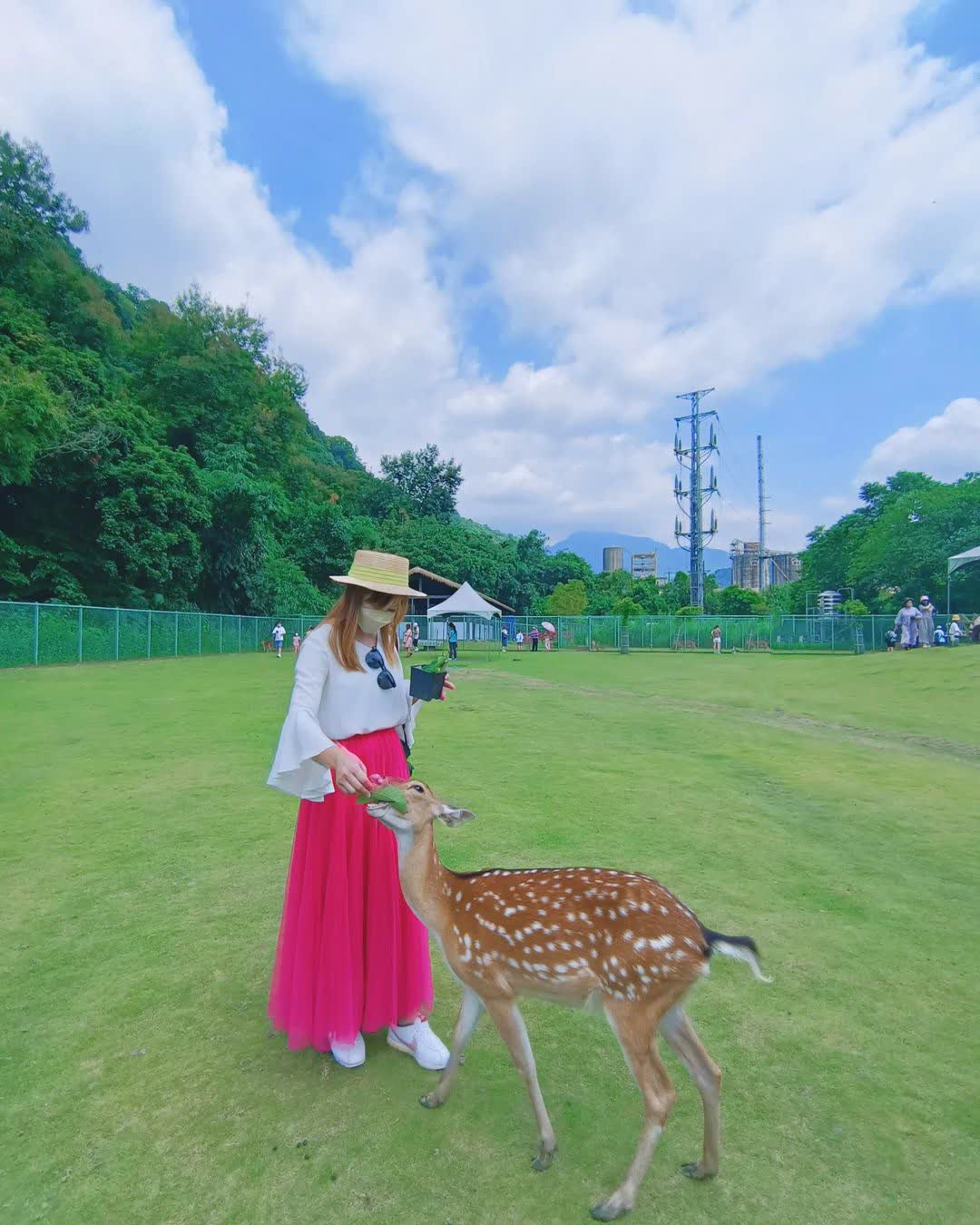 逐鹿傳說梅花鹿園 | 去趣 chicTrip