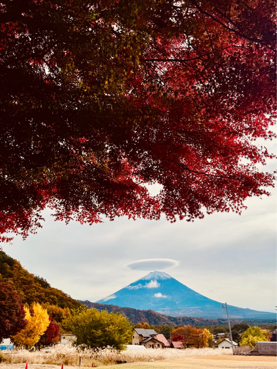 西湖 療癒之里 根場 | 去趣 chicTrip