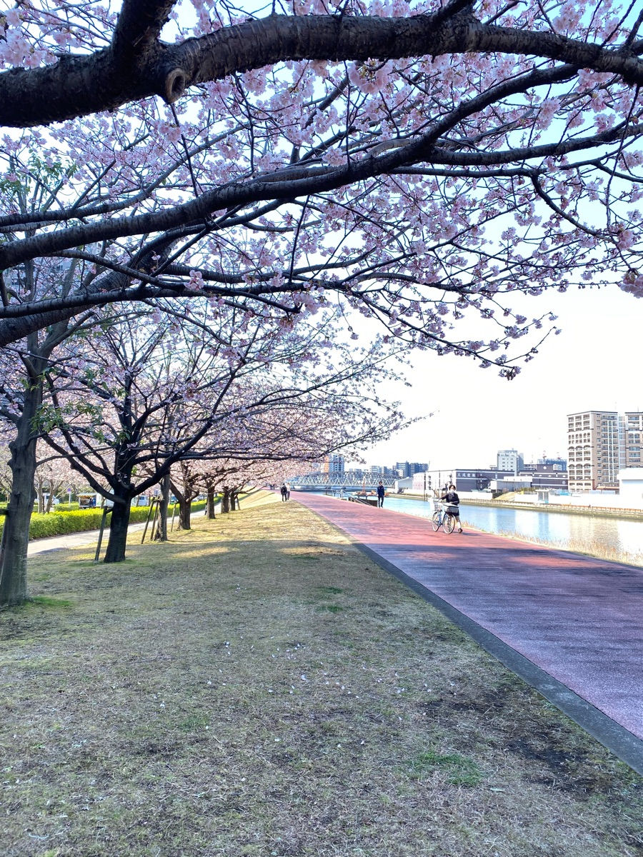 汐入公園 | 去趣 chicTrip