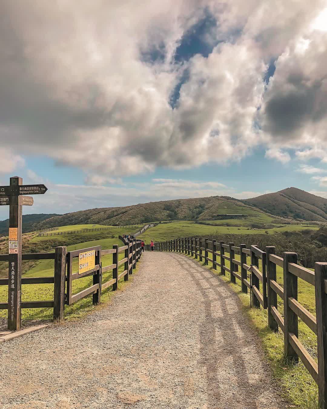 擎天崗 | 去趣 chicTrip