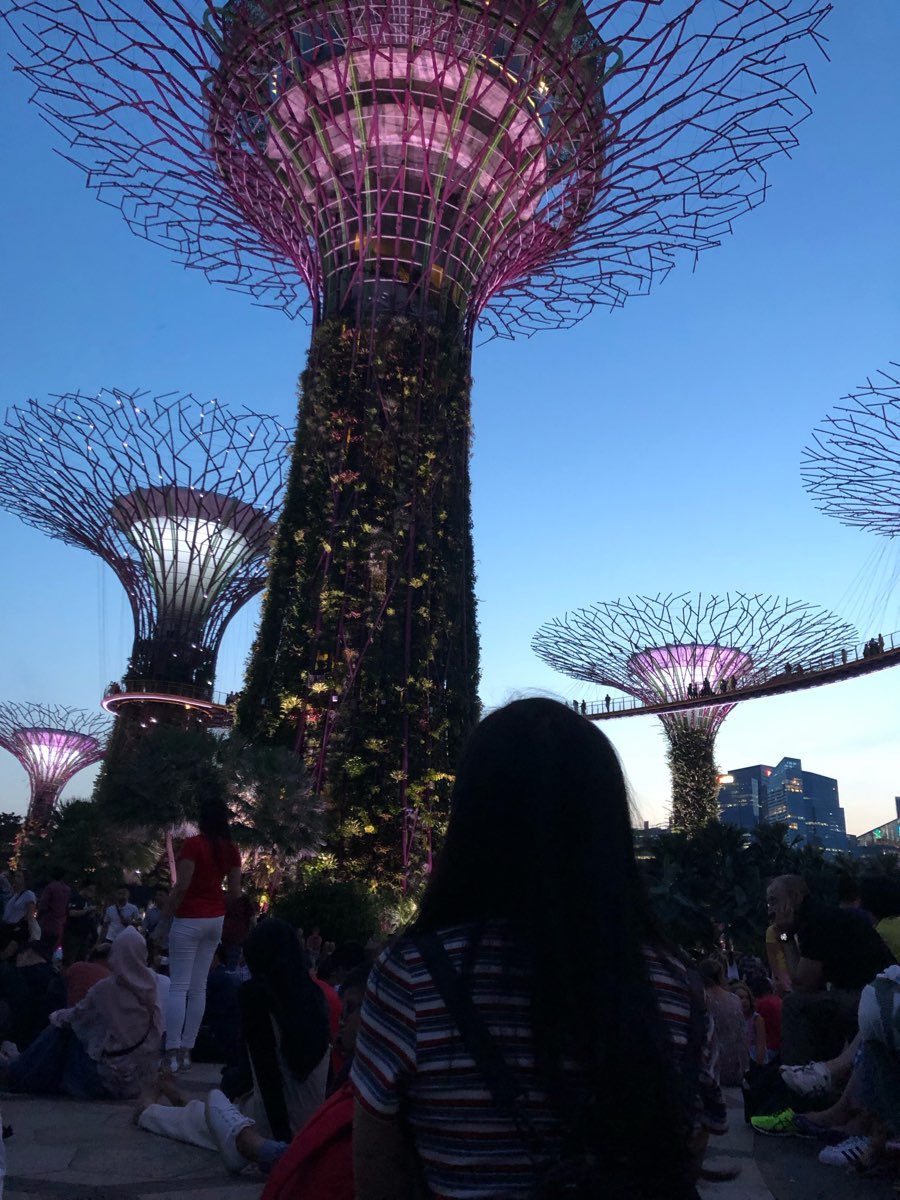 濱海灣花園 | 去趣 chicTrip