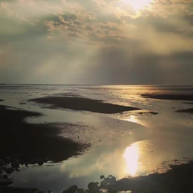 香山濕地賞蟹步道 | 去趣 chicTrip