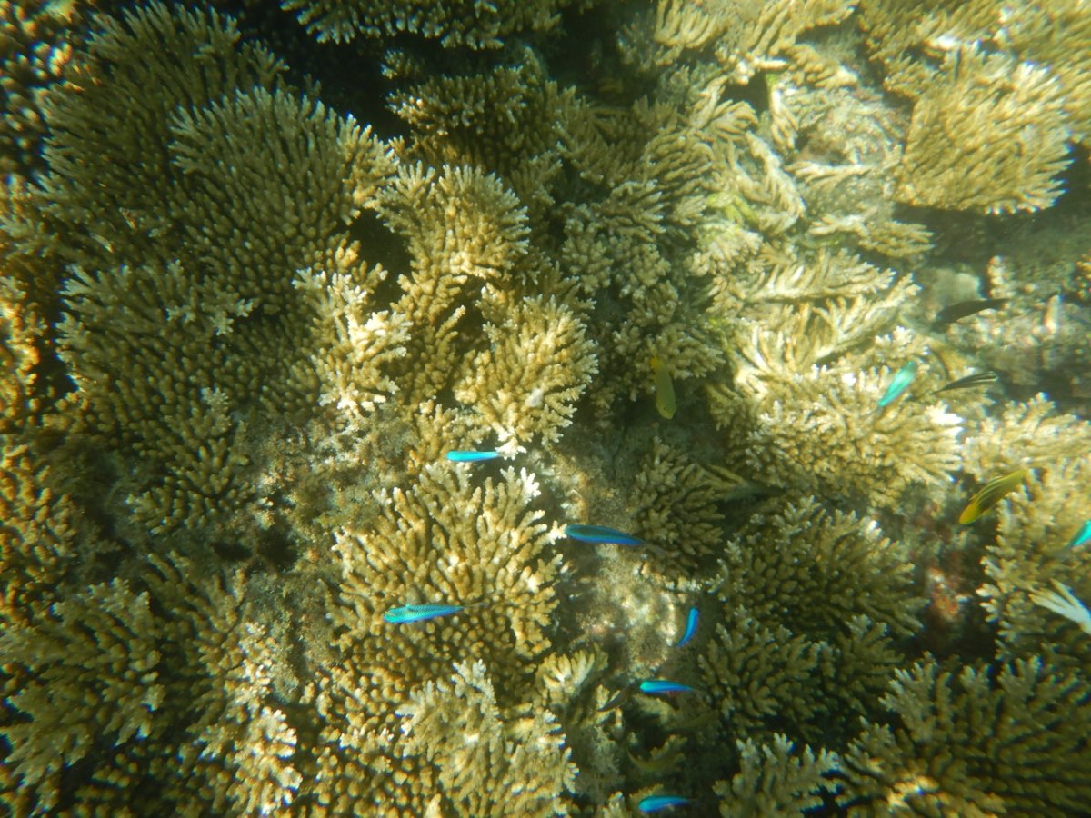 金瓜仔礁（忘憂島） | 去趣 chicTrip