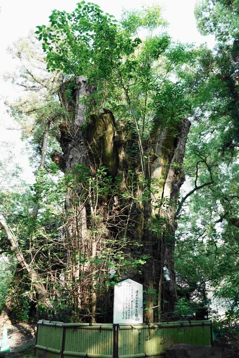 加藤神社 | 去趣 chicTrip