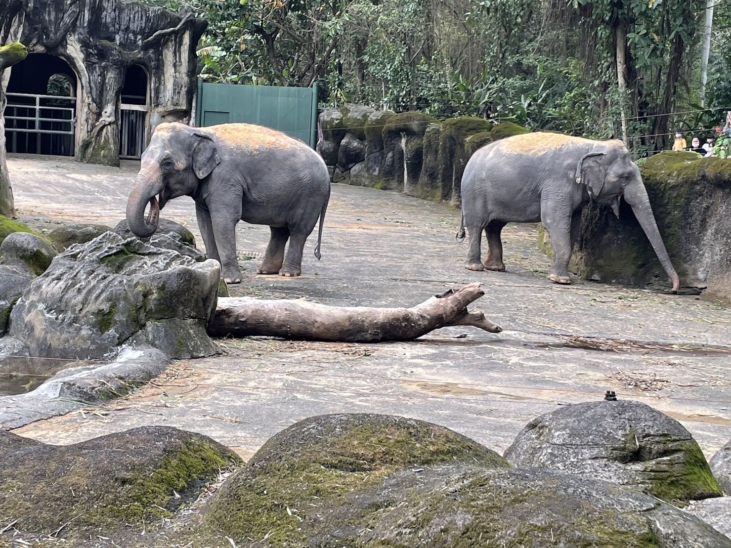 臺北市立動物園 | 去趣 chicTrip