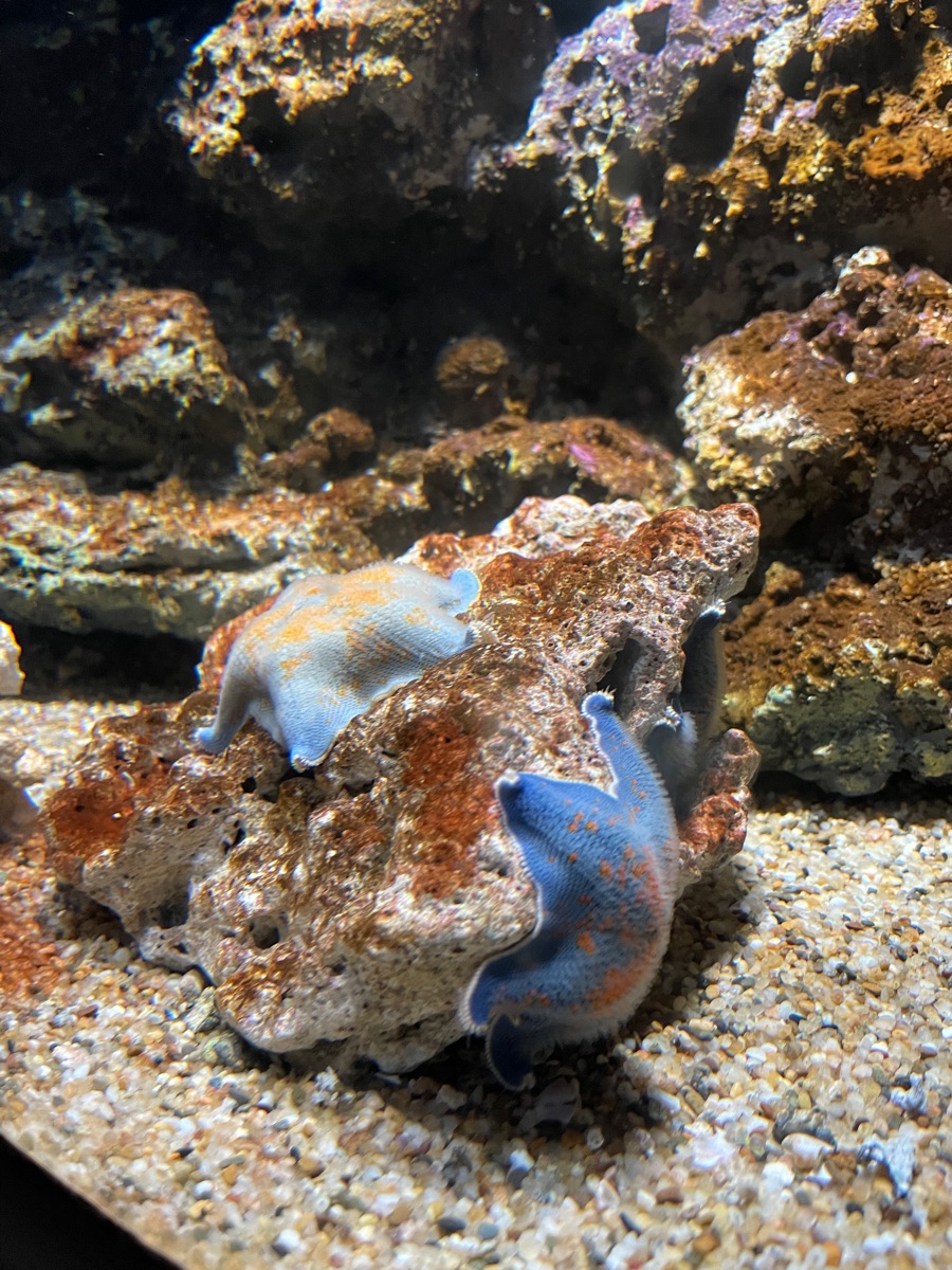 Xpark 水族館 | 去趣 chicTrip