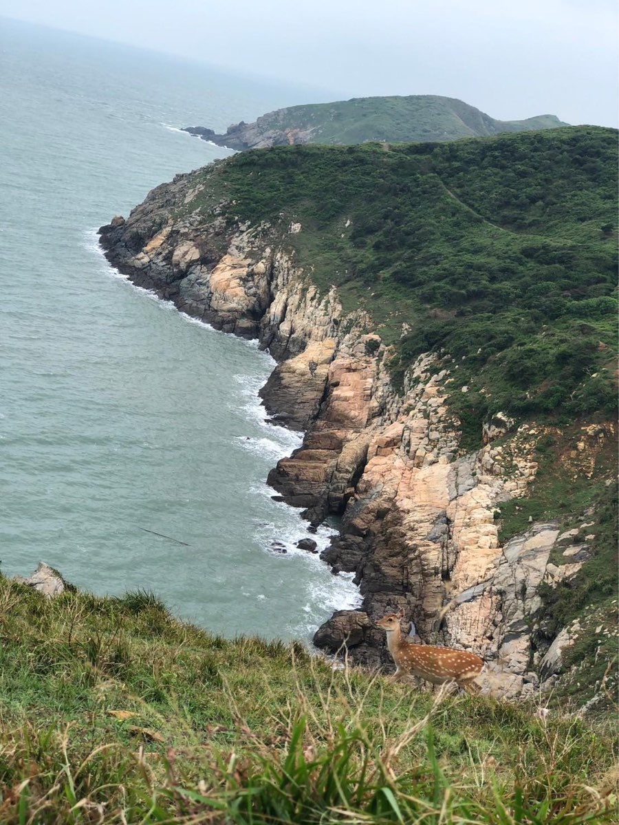 大坵島 | 去趣 chicTrip