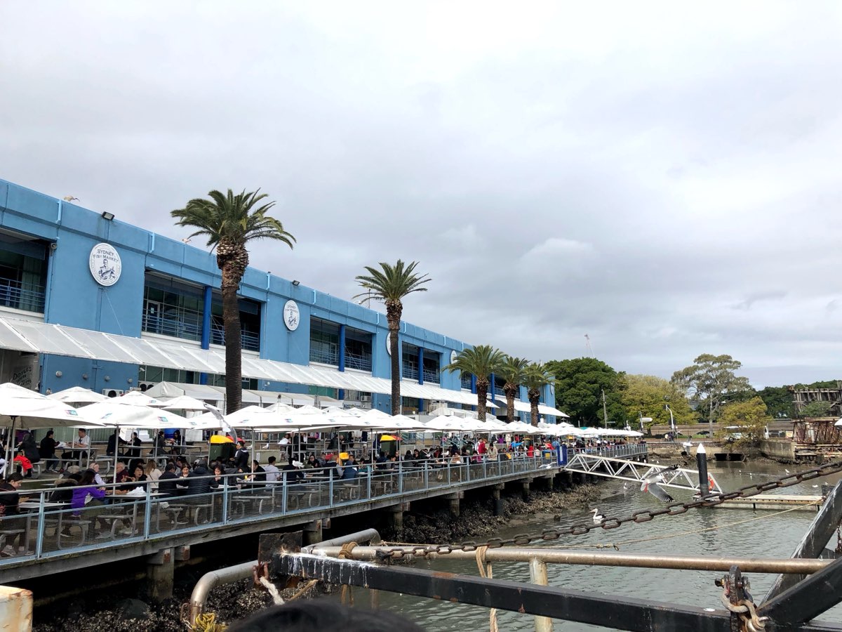 Sydney Fish Market | 去趣 chicTrip