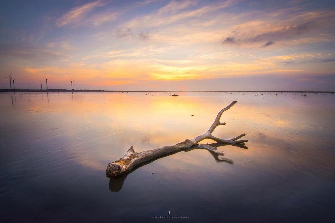 高美濕地 | 去趣 chicTrip