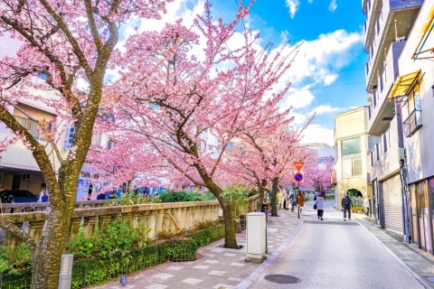 Itokawa Promenade | 去趣 chicTrip