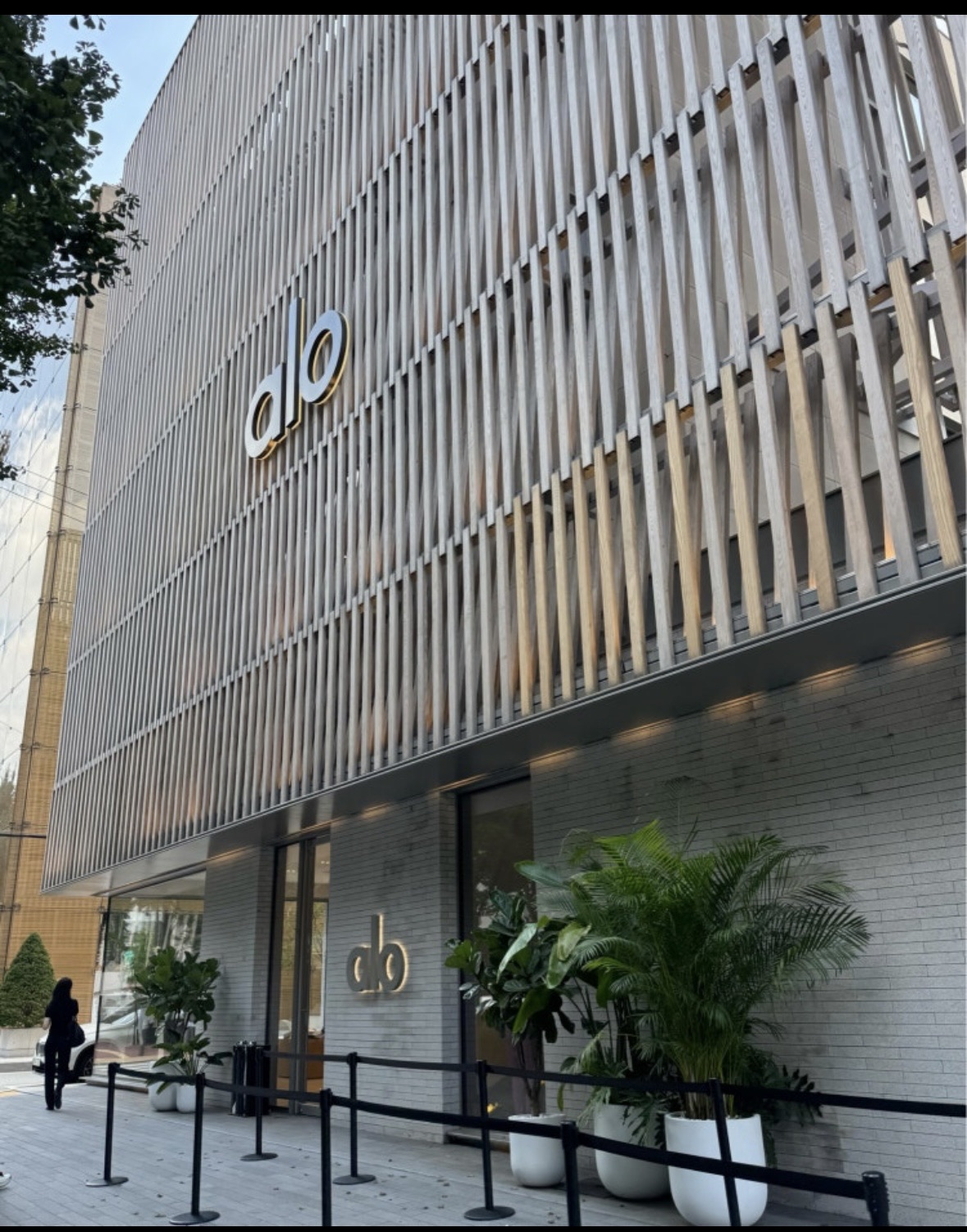 Alo Dosan Flagship store | 去趣 chicTrip