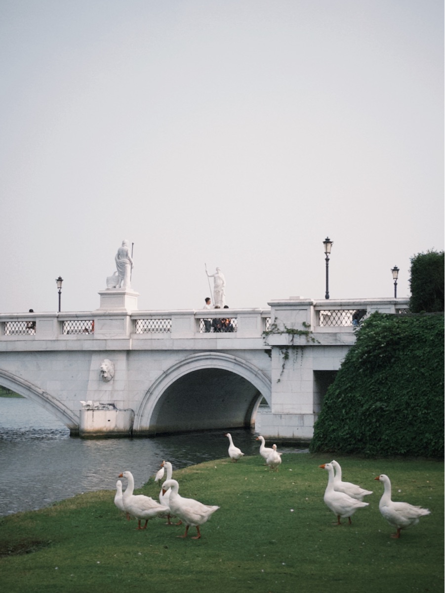 奇美博物館 | 去趣 chicTrip