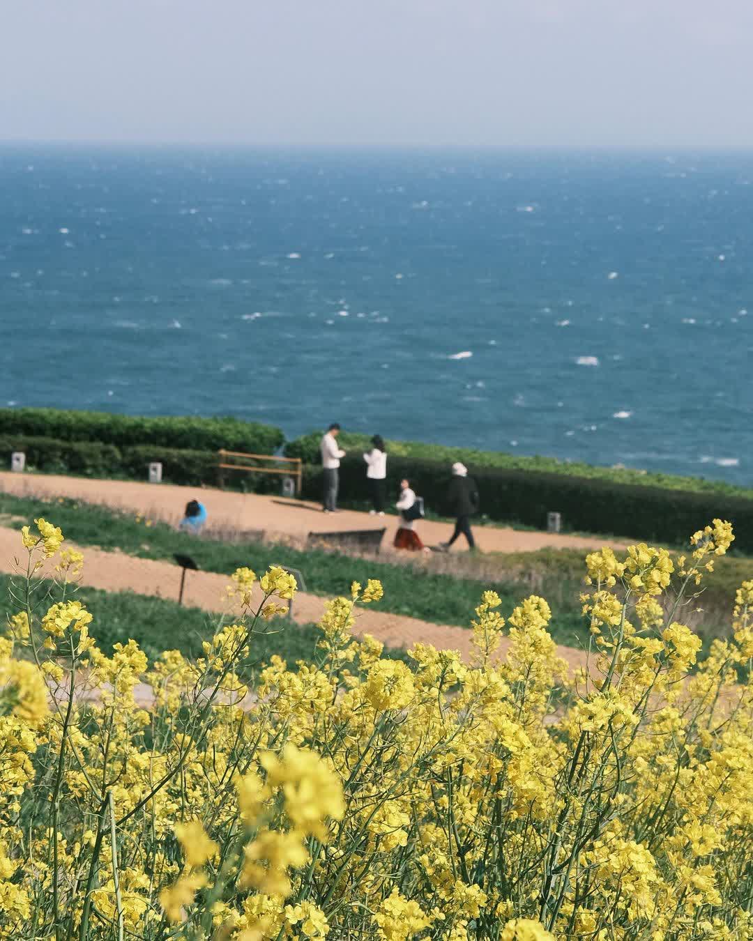 Oryukdo Skywalk | 去趣 chicTrip