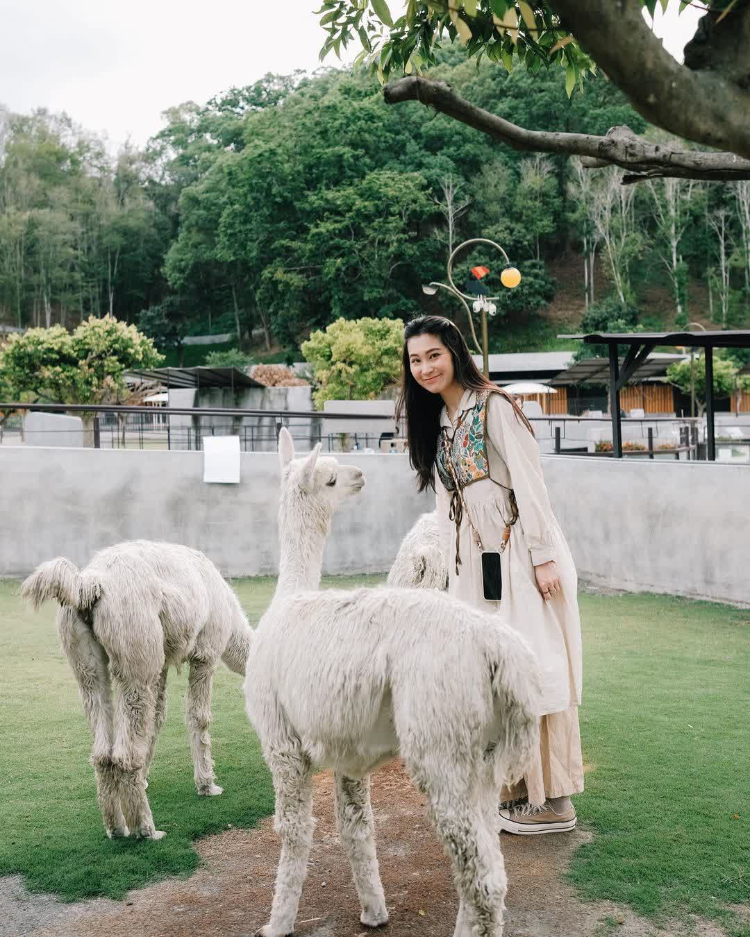 九九峰動物樂園 | 去趣 chicTrip